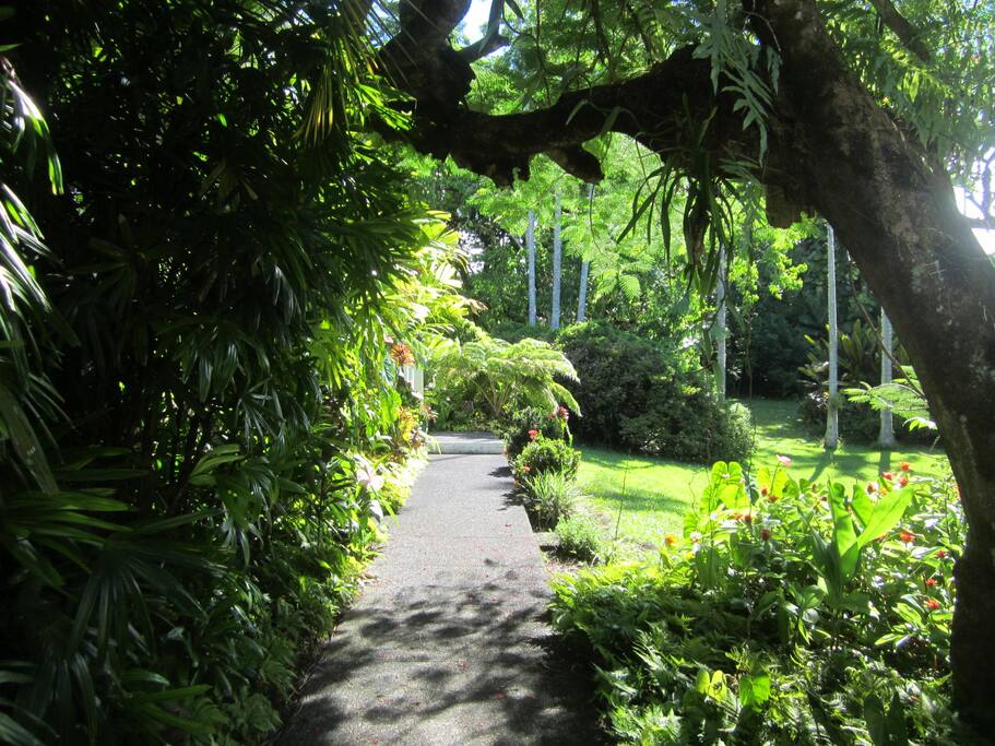 Along the path to Shipman House's Guest Cottage.
