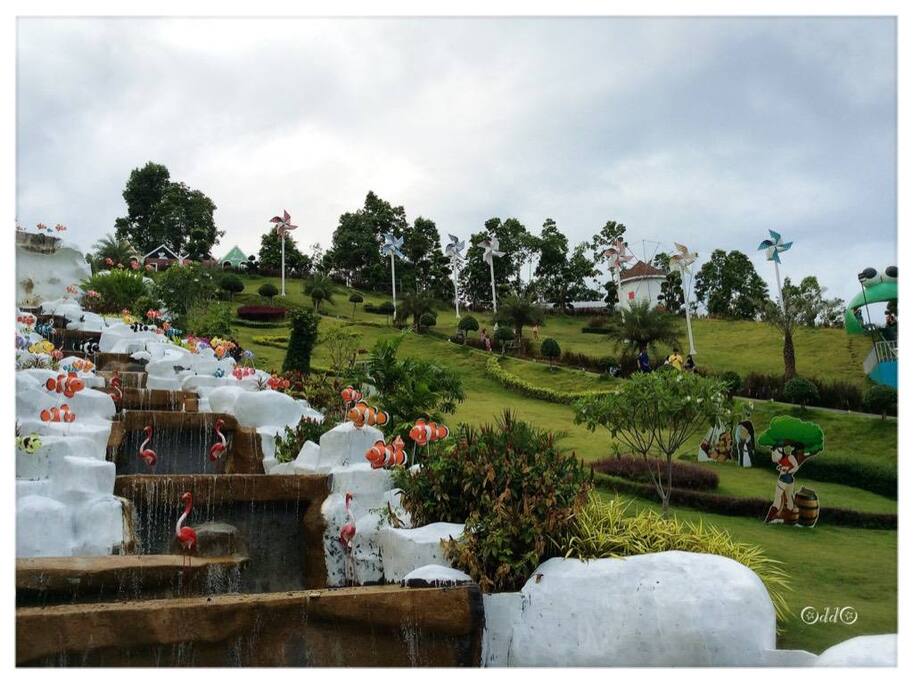 Water Fall