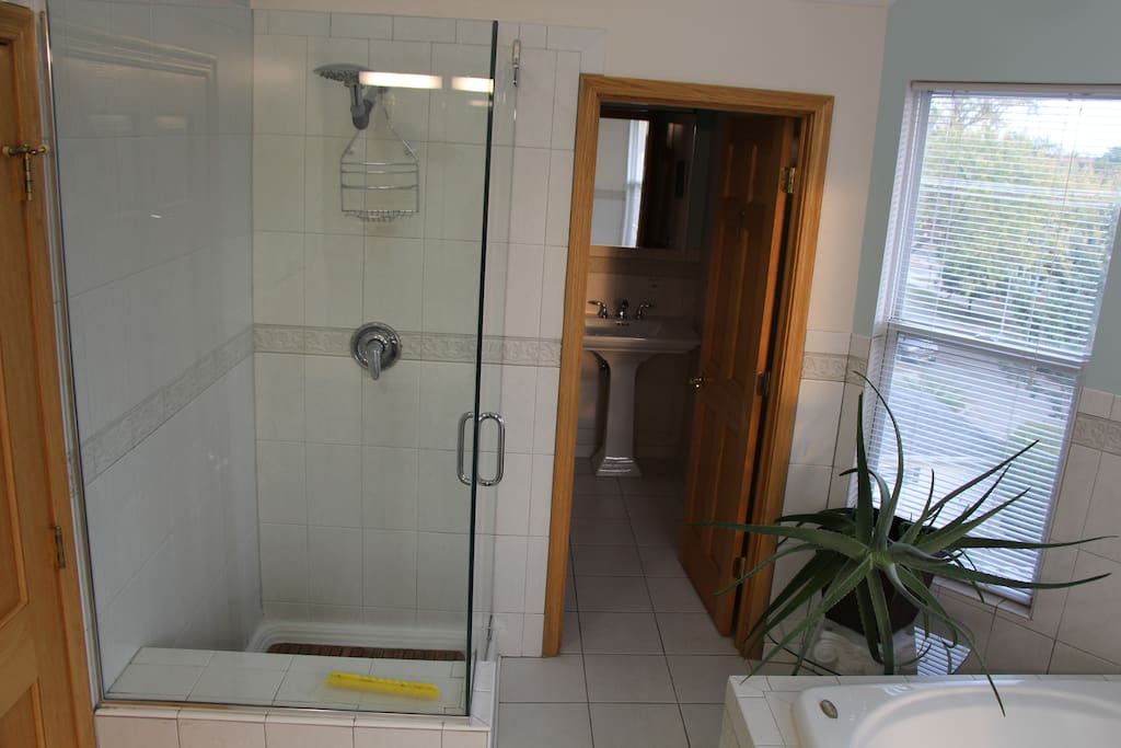 master bath stand up shower