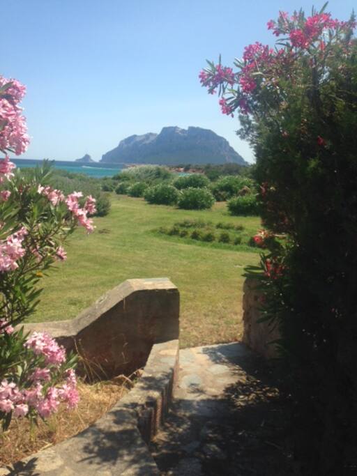 Vista dal giardino