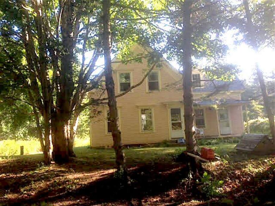the house