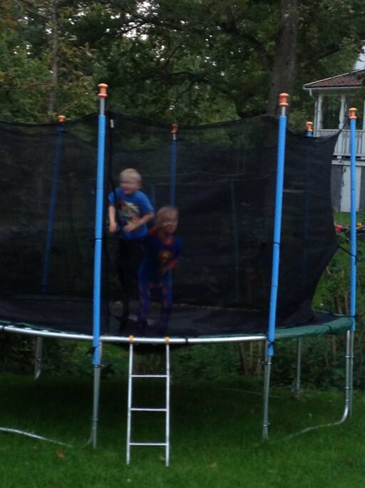 A garden for the children to play in