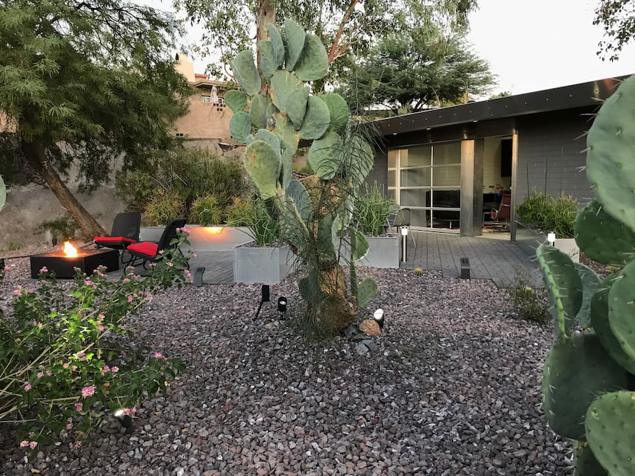 View from Garden approach with large scale cactus…