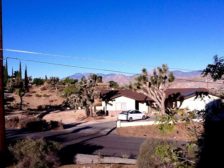 Blue Skies over The Birds' Eye View!