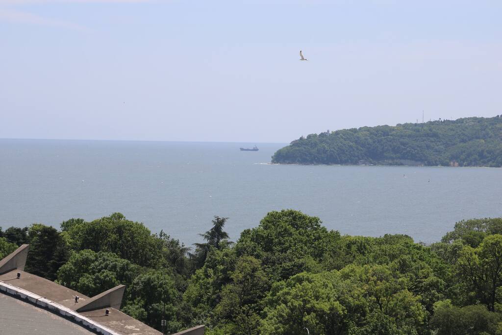 View 2