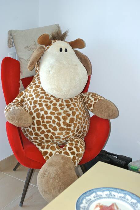 Meet Jose our regular house guest. Please look after him