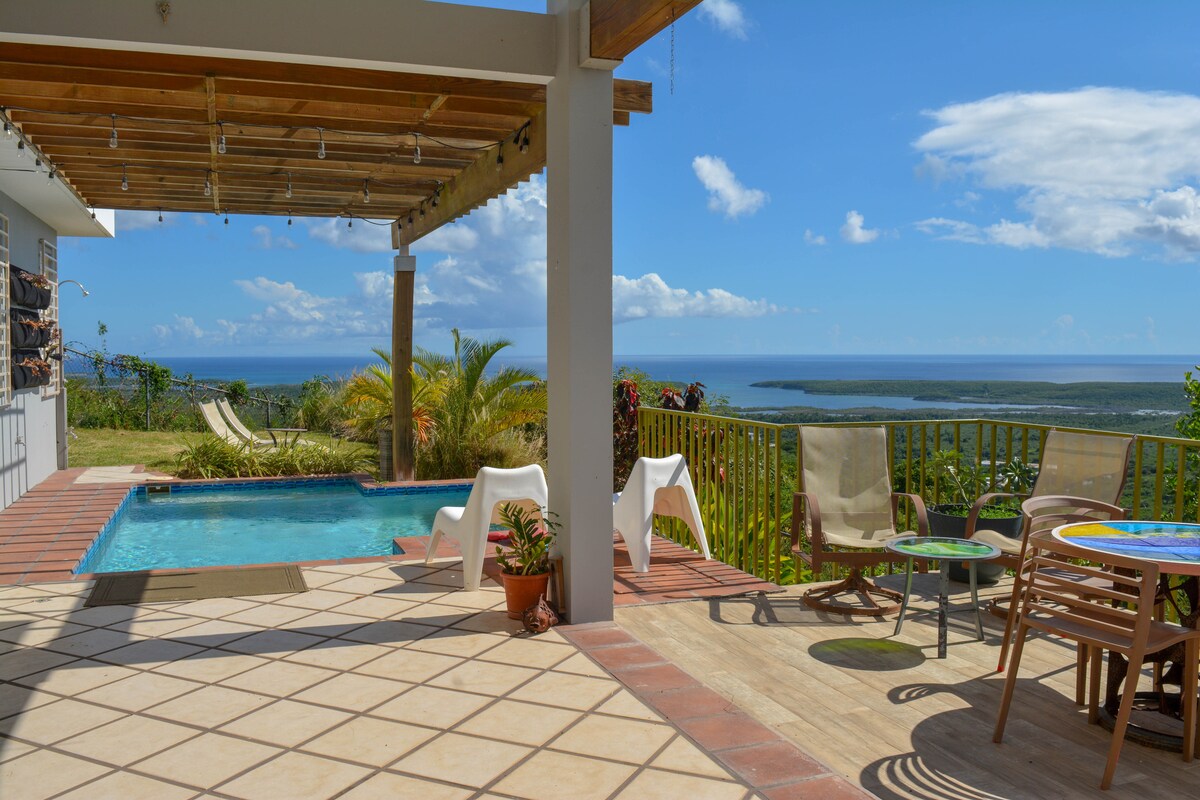 A pool area with a stunning ocean view is featured, surrounded by lush greenery. Lounge chairs are positioned near the pool, and a seating area with wooden chairs and a colorful table is visible. The floor is tiled, and a wooden pergola offers partial shade.