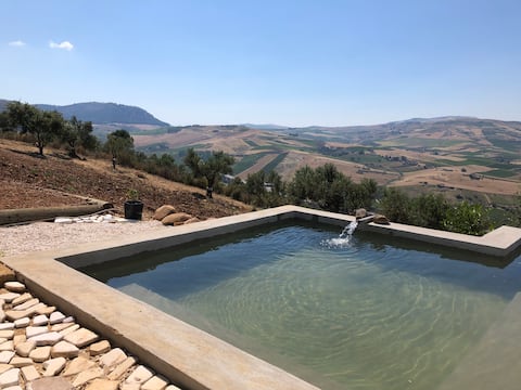 Casa Aurora: the little house in the woods