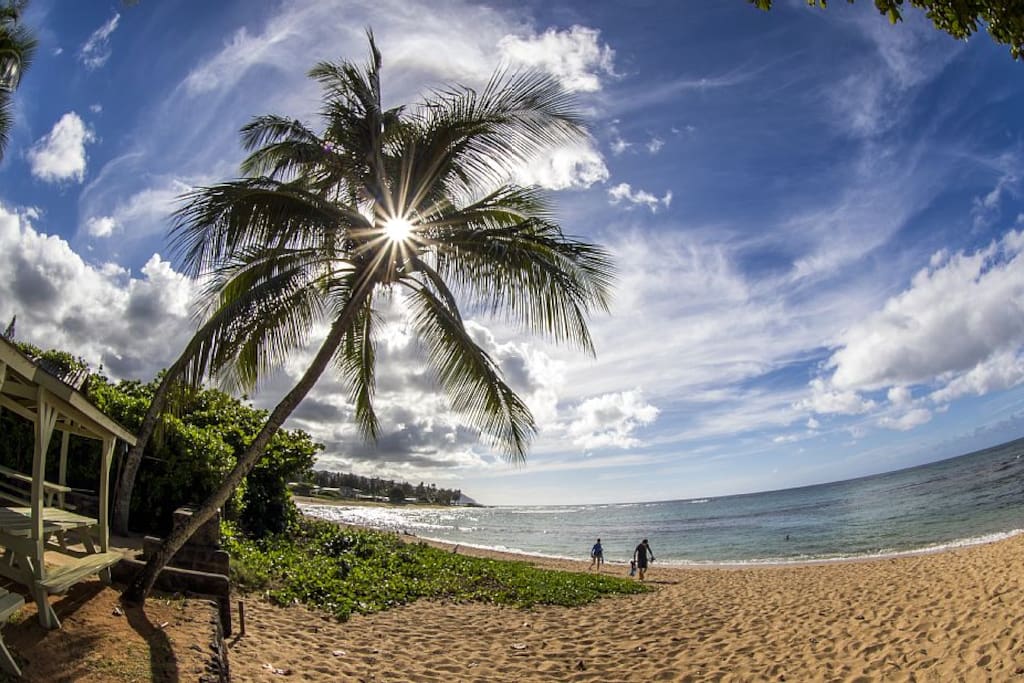 Beach in front of condo