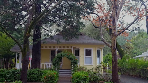 Cedar Street Victorian