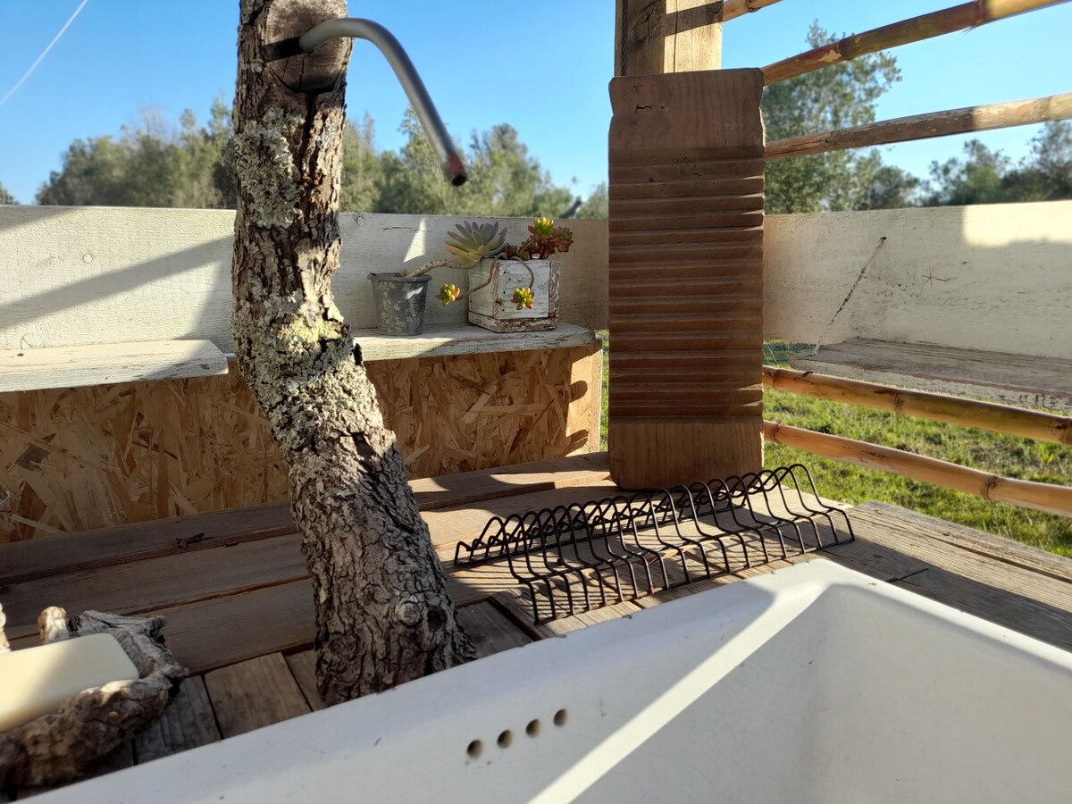 A natural outdoor washing area is depicted, featuring a rustic tree branch used as a faucet. A simple sink is visible, alongside a wire rack and small plant pots, contributing to the serene, nature-focused atmosphere.