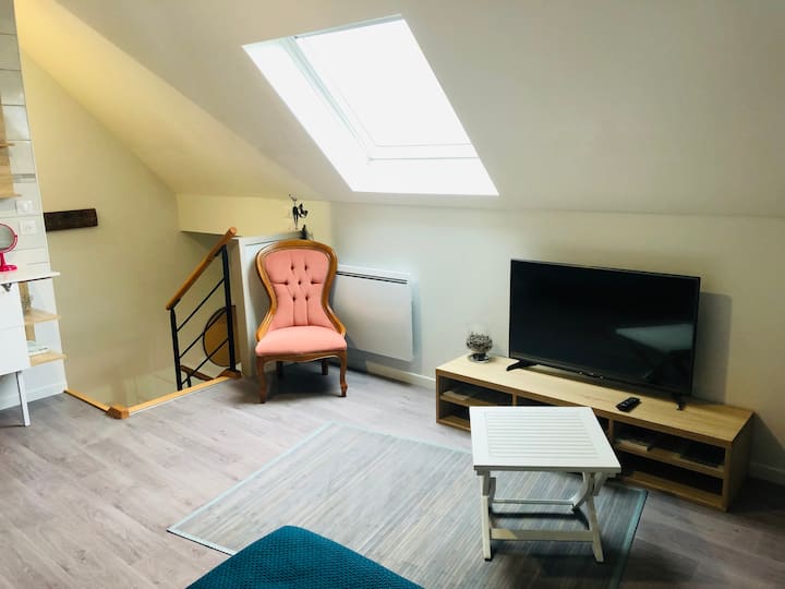 Chez Pat Et Olive- Bagnères De Bigorre -Gîte 4pers - Bagnères-de-Bigorre