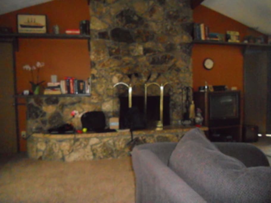 Family room can convert to sleeping space with air mattress.