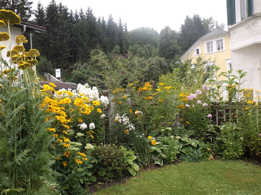 Der Garten im Sommer