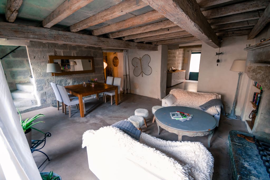 Grand espace à vivre ouvert sur cuisine et terrasse/jardin