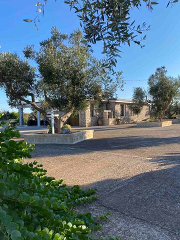 Tenuta degli ulivi gallery image 3