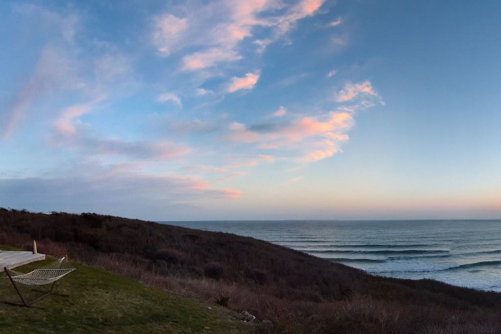 the view