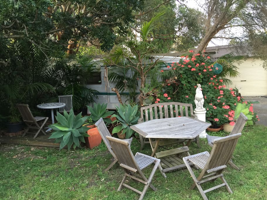 Relaxing bushy backyard