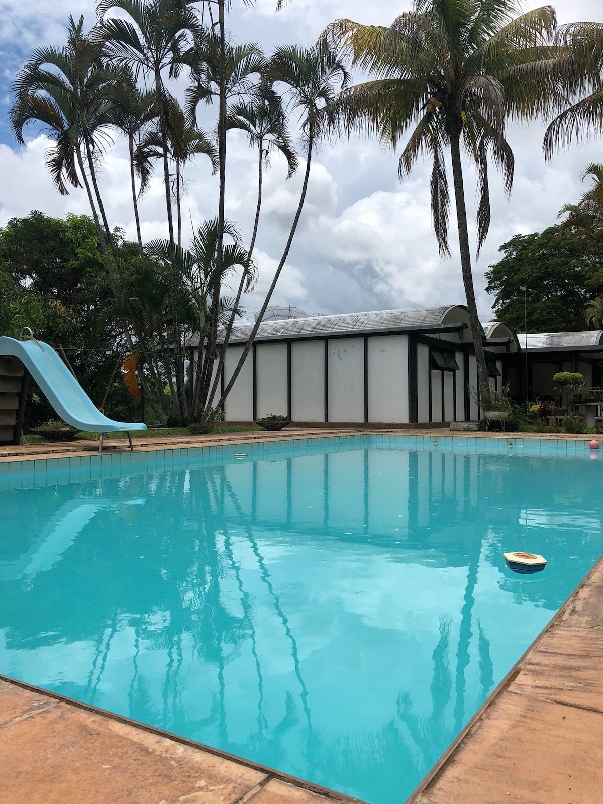 A clear swimming pool is surrounded by tall palm trees, reflecting the sky above. A water slide is positioned on the left side of the pool area, while the adjacent building features large windows that overlook the tranquil setting.