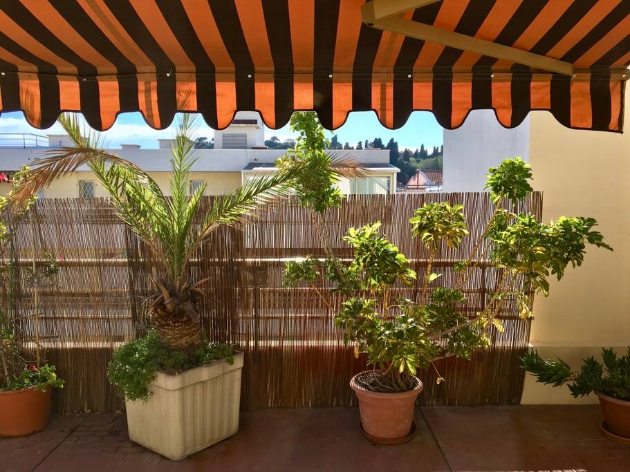 terrace south side bedroom
