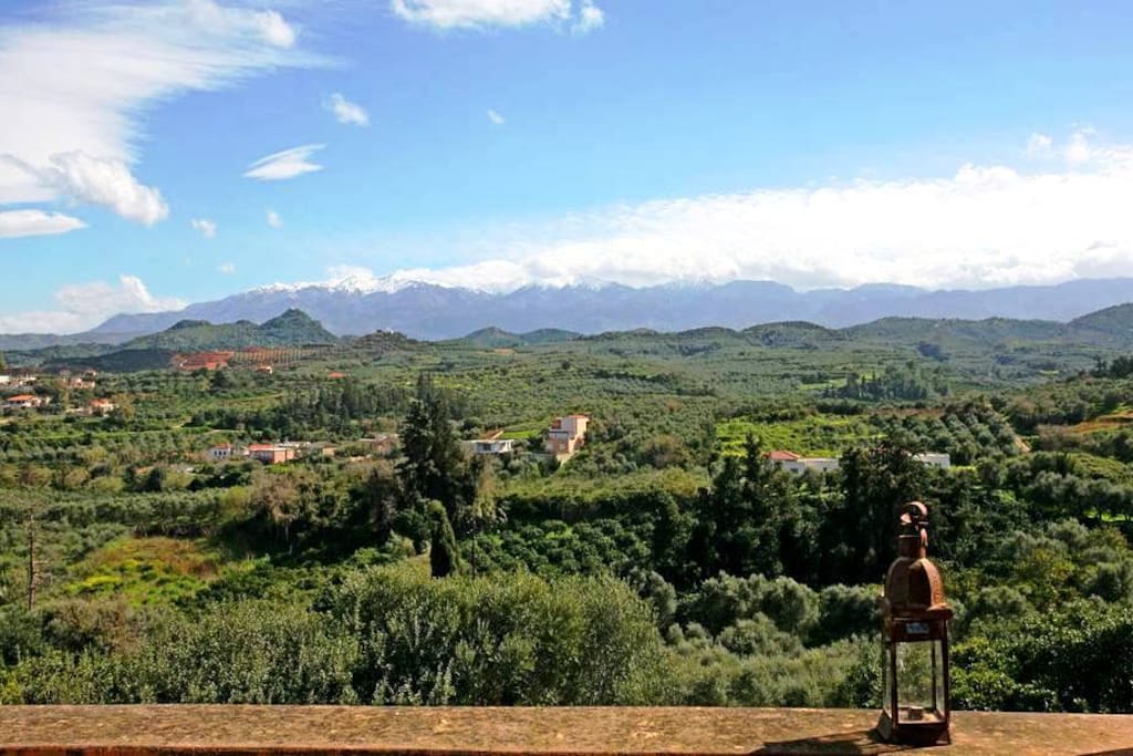 The landscape