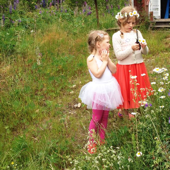 Kids Paradise
