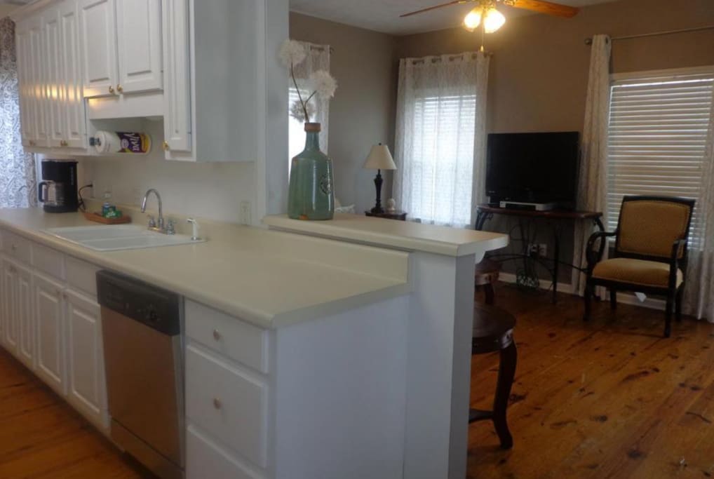 Living Area/ Kitchen