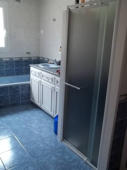 Douche, baignoire et deux vasques.