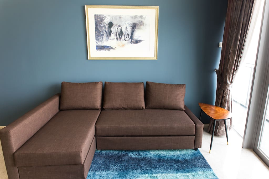Sofa Bed sleeps 2 when extended