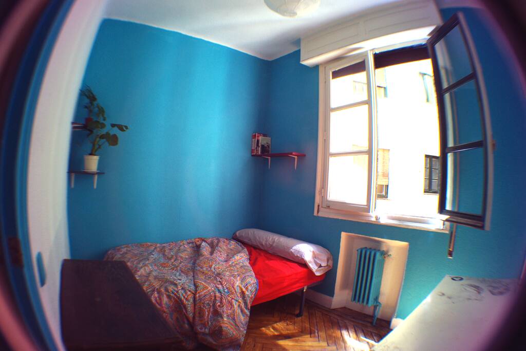 Lot of natural light :)
