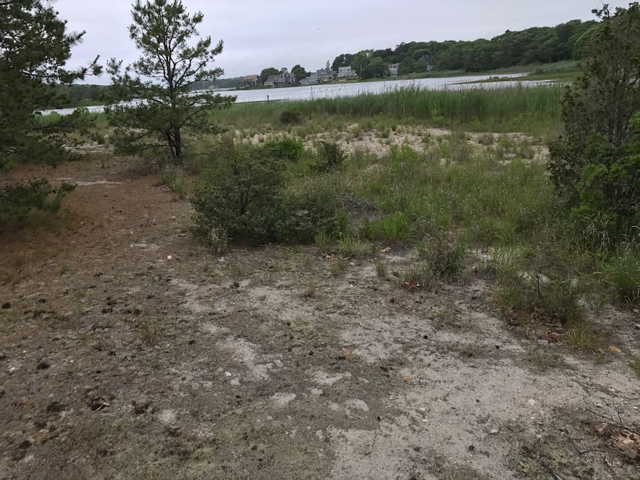 behind property in conservation land looking north west towards salt marsh