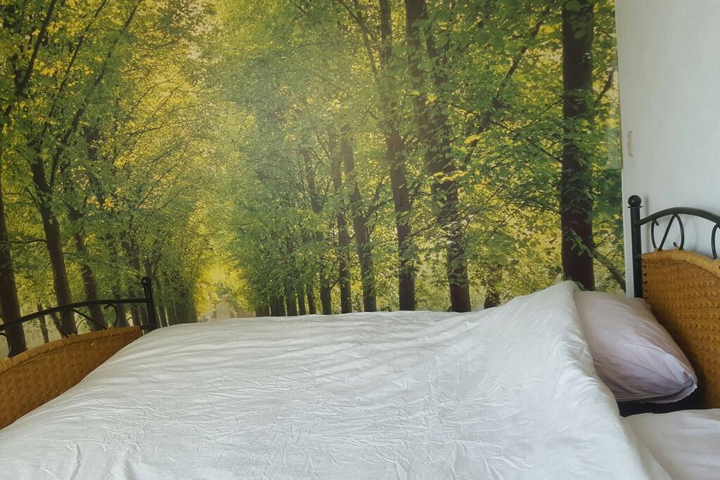 FORESTroom ...kingsize bed!