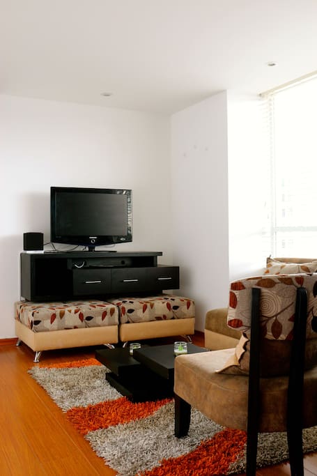Acogedora sala con televisión y cable