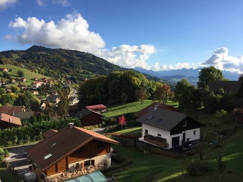 Apartment between Alps and Lake Geneva