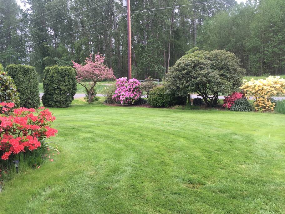 West gardens and lawn