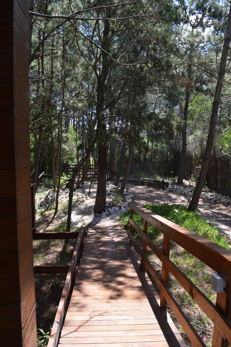 Rampa de acceso