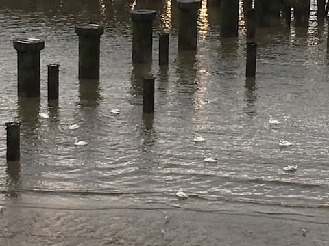 Chambre comfortable,  superbe vue sur la Tamise