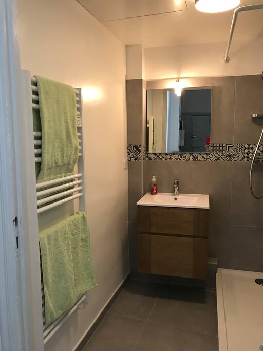 Salle de douche 1