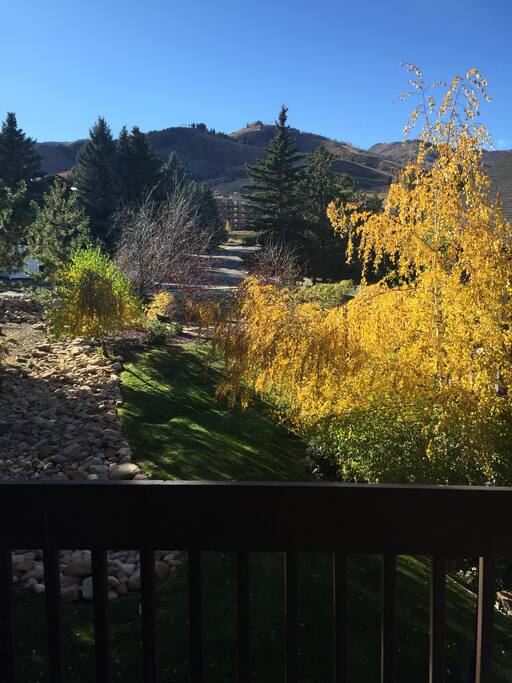 View from the Balcony