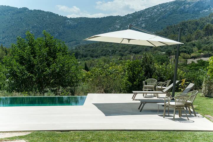 Can Morey gallery image 4