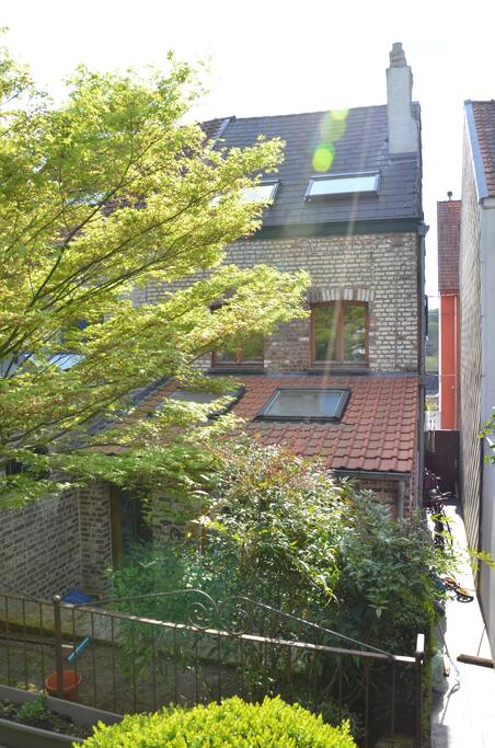 Arrière de la maison