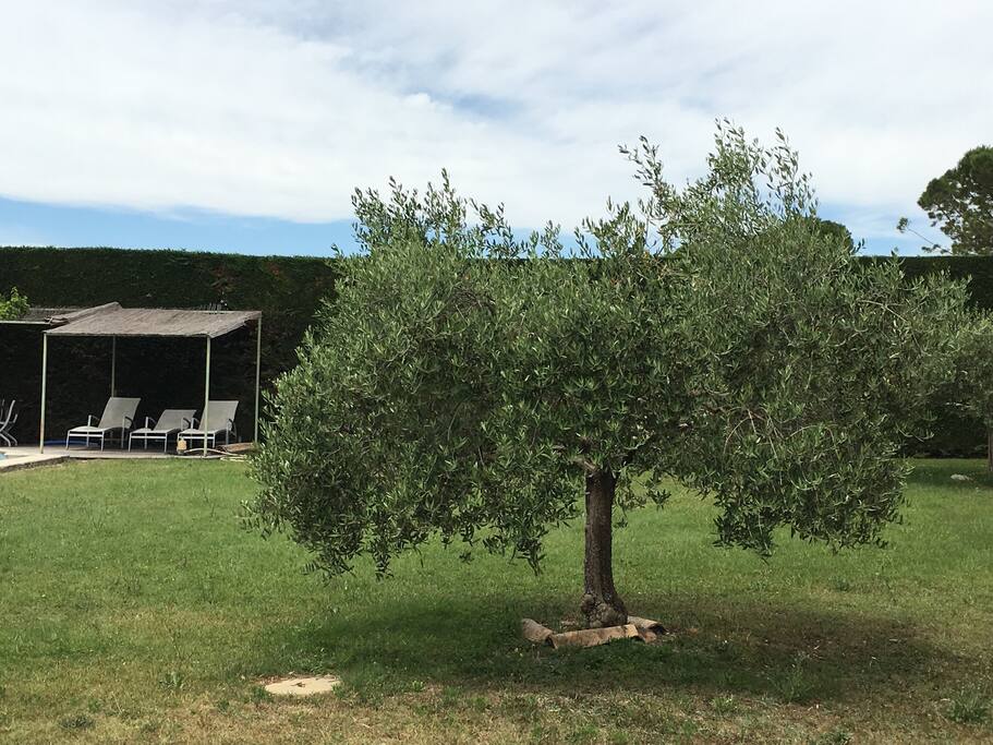 Une tonnelle ombragée pour se protéger du soleil