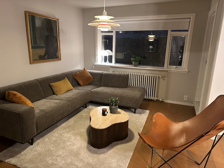 A Beautiful Apartment Close City Center - Reykjavik