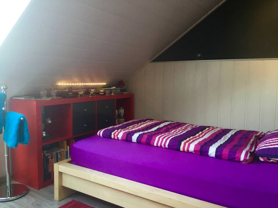 neue Paneele, frische Farbe und ein neues Design.
new wood, new paint and new design