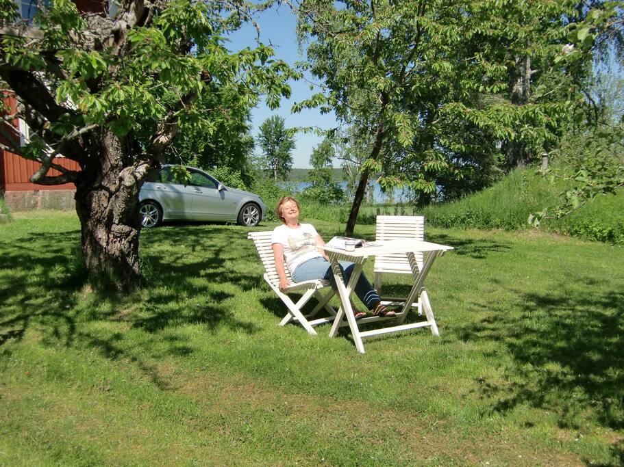 den vackra trädgården där Du ser ner till Yngaren