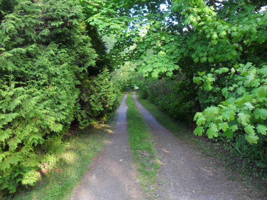 chemin d'accès