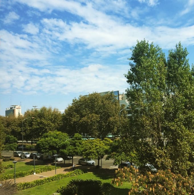 gardens & street view