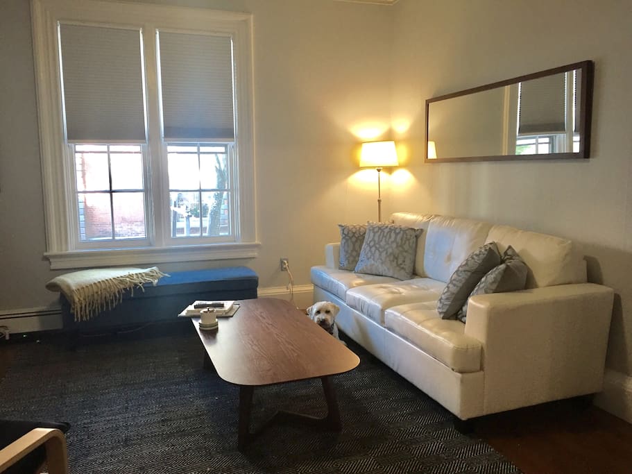 Comfortable living room/dining room with a view of historic Benefit Street. Your dog will make the window bench his favorite spot! The couch is a queen sized sleeper with a brand new high end mattress. Extra linens are provided for guests using the sleeper.