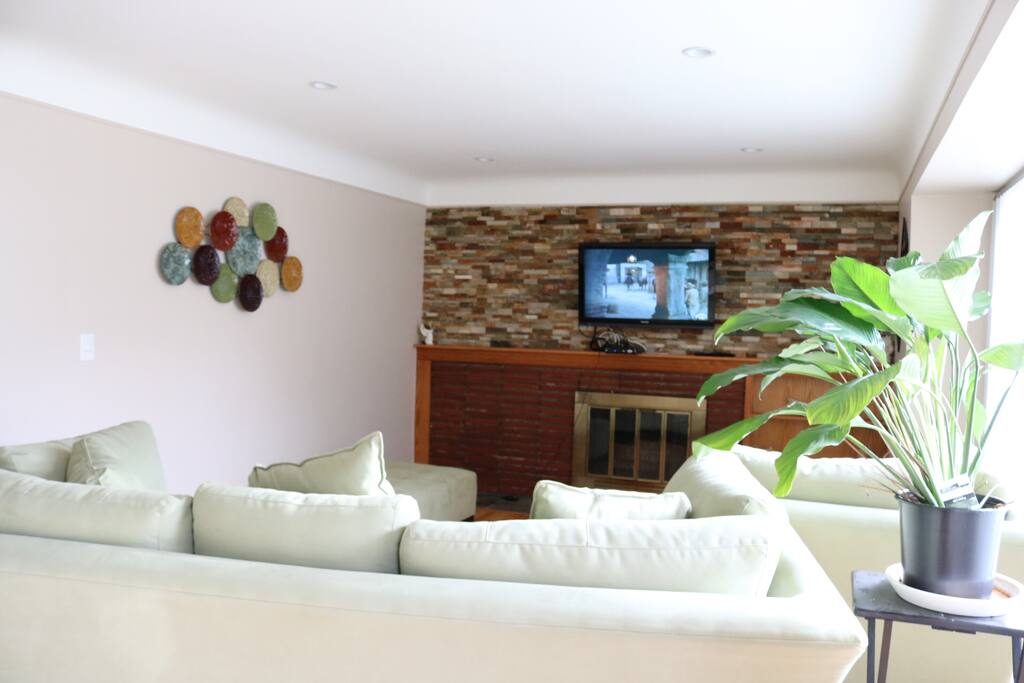 Beautiful natural lighting in the living room