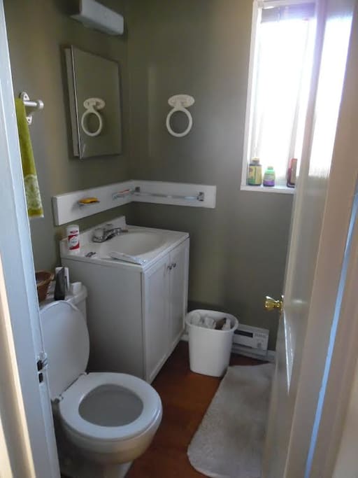 Shower, toilet, vanity.